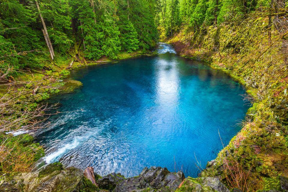 Tamolitch Blue Pool Oregon