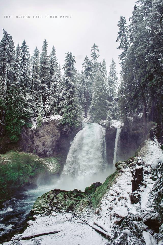 sahalie falls oregon