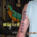 oregon ducks tattoo