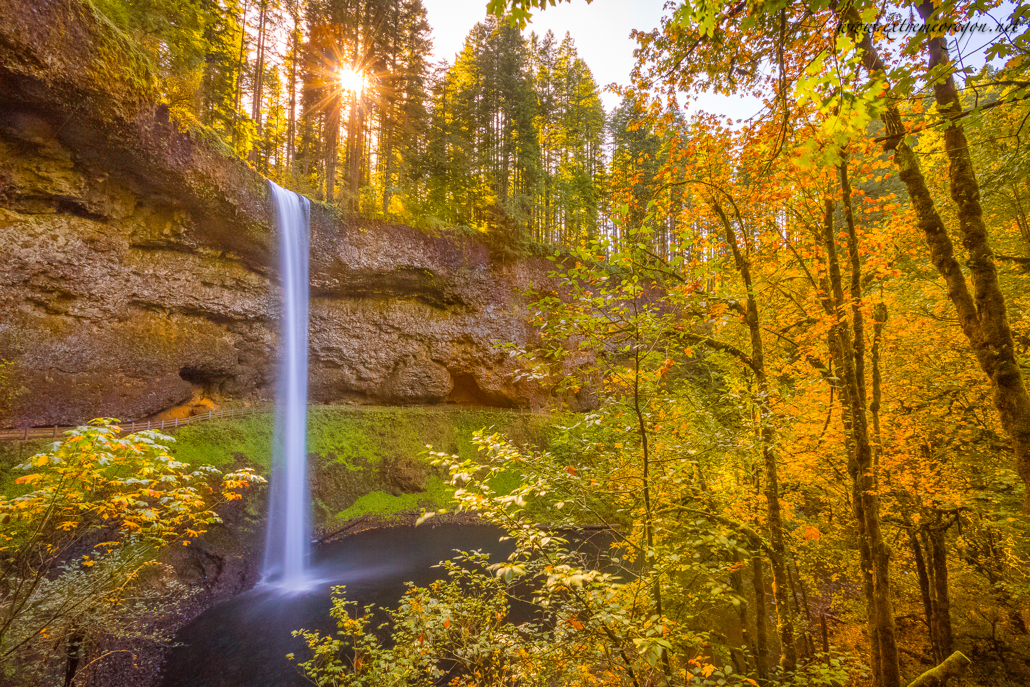 Silver Falls in autumn with orange leaves. Truly one of the best places in Oregon.