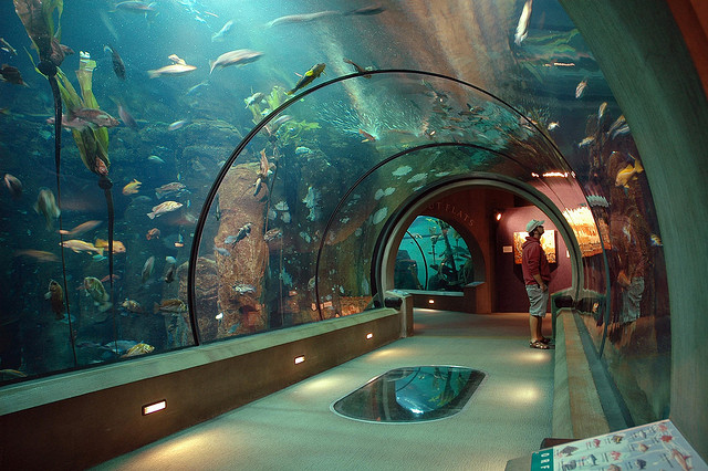 Oregon Coast Aquarium by OCVA