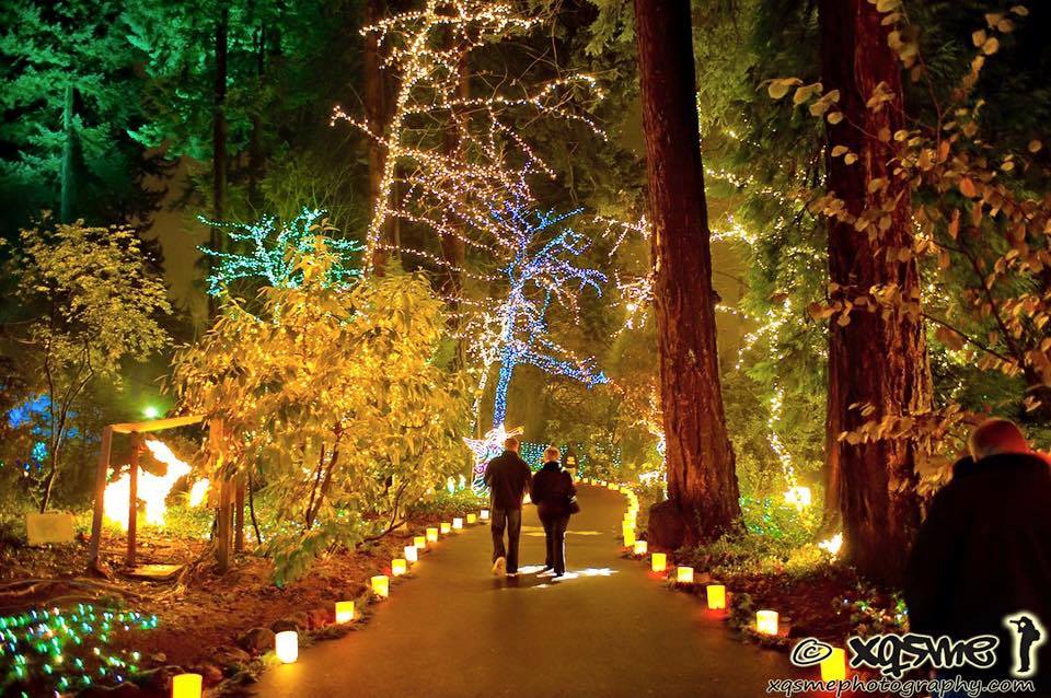 10 Magical Places to See Christmas Lights in Oregon in 2022