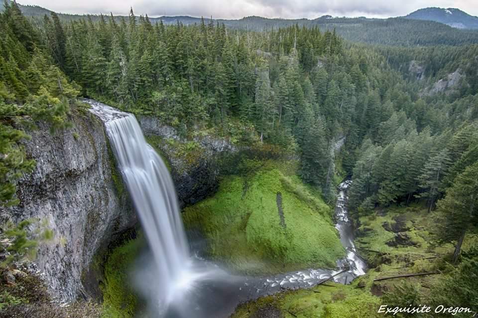Hiking to Salt Creek Falls and Diamond Creek Falls in Oregon