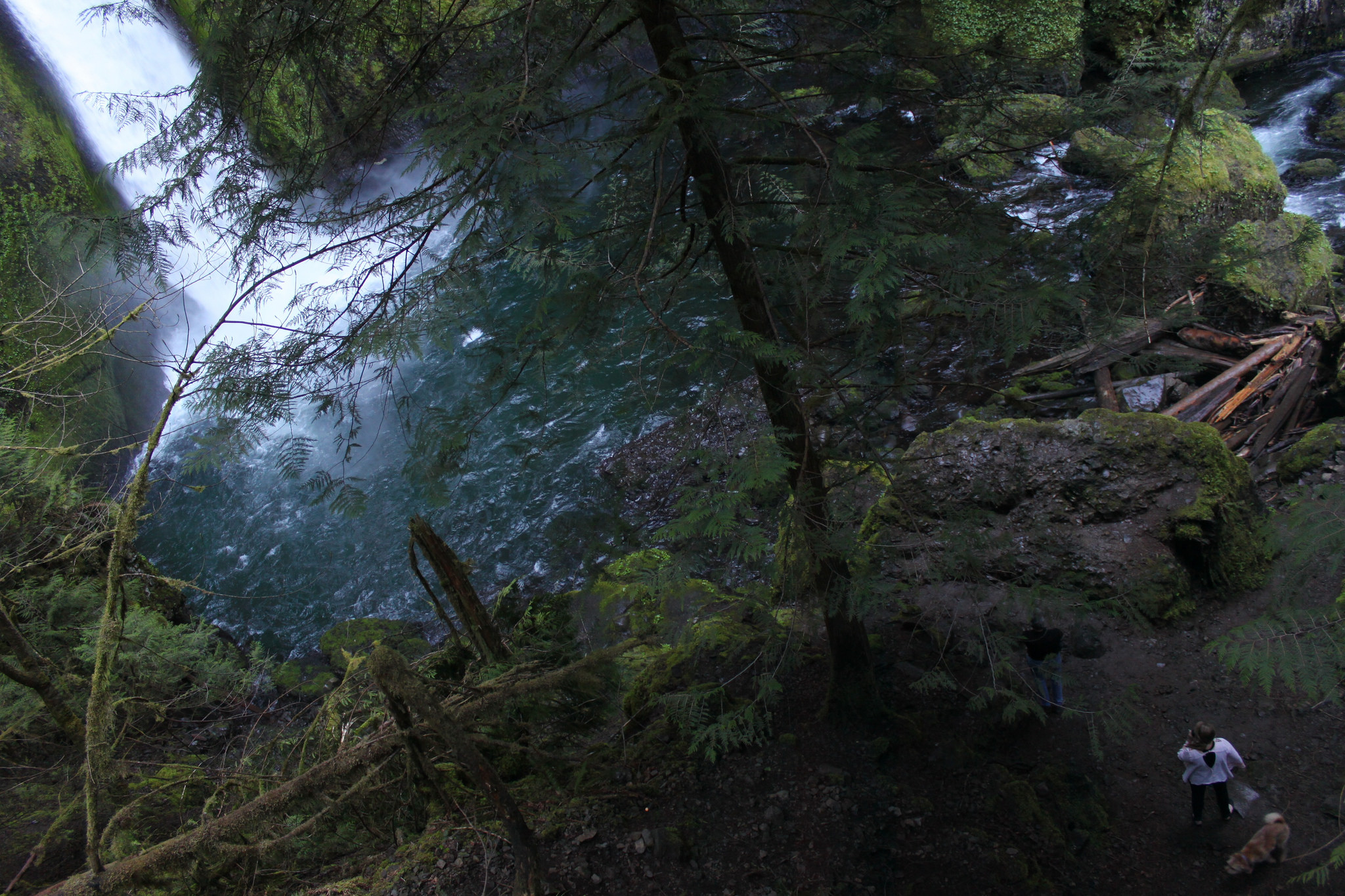 Wahclella Falls (Eli Duke / Flickr)
