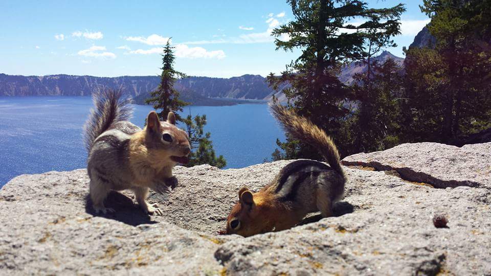 16 Awesome Crater Lake Facts Most People Don’t Know