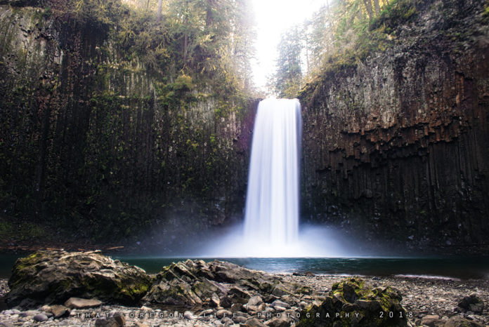 Abiqua Falls: Oregon’s Hidden Gem of Natural Beauty