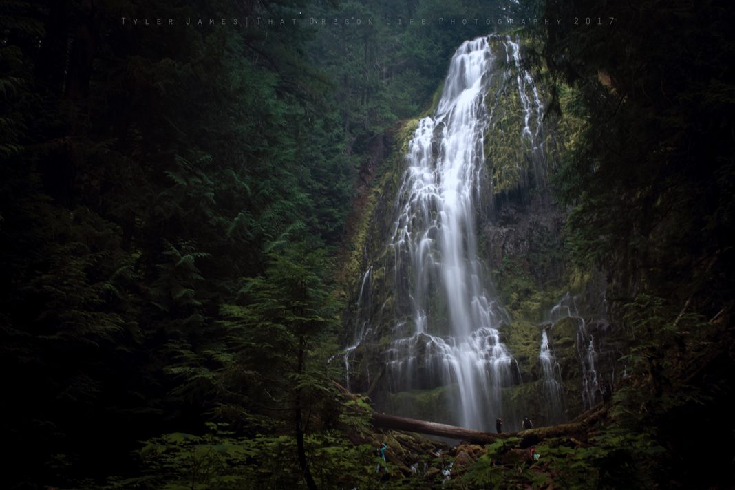 Proxy Falls: The Ultimate Oregon Waterfall Experience