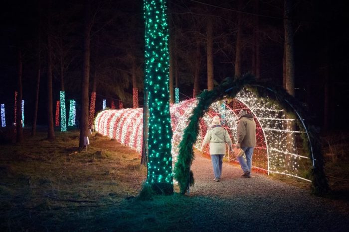 This Magical Winter Walk in Oregon Features One Million Lights