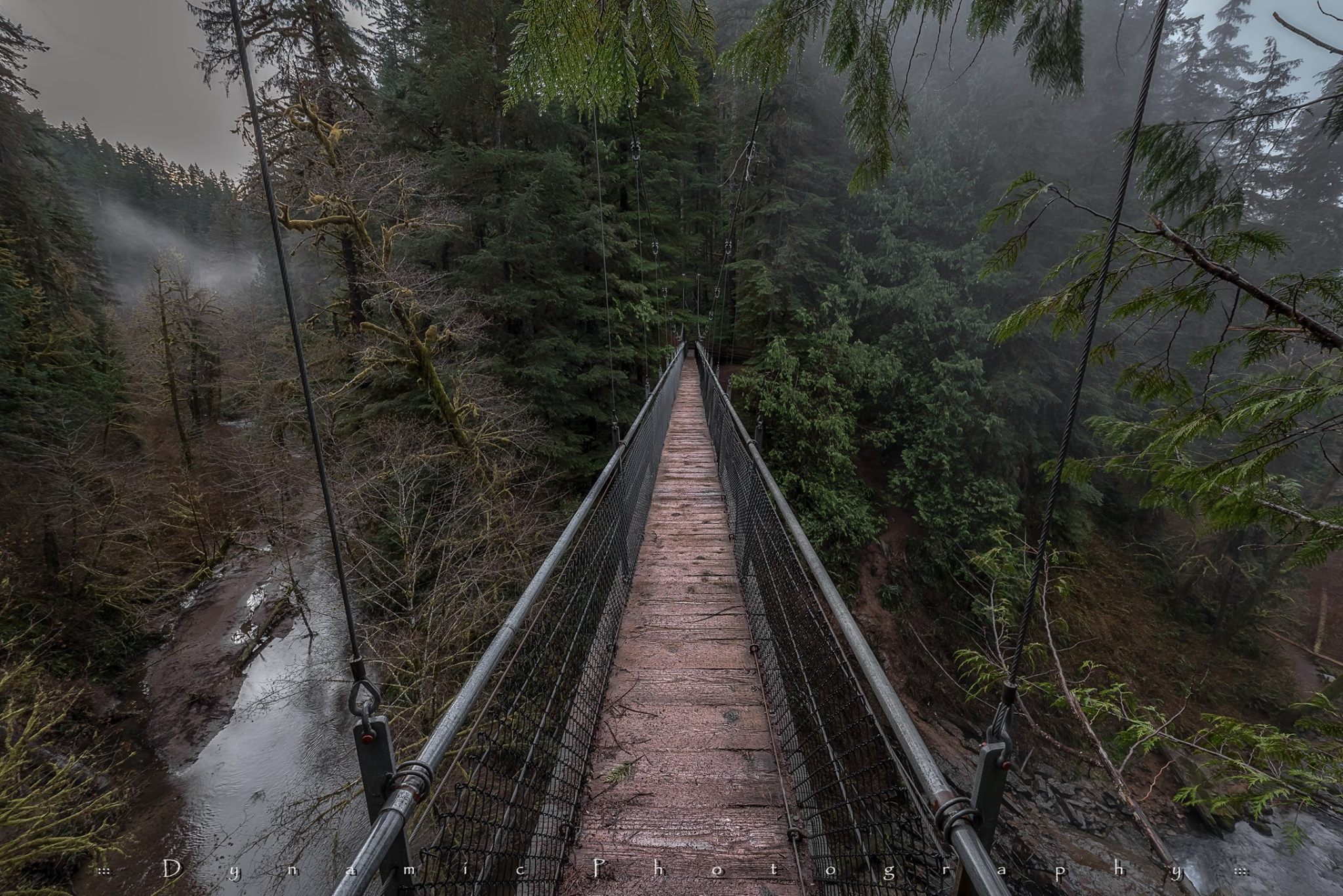 11 Trails That Make For Perfect Rainy Day Hikes in Oregon