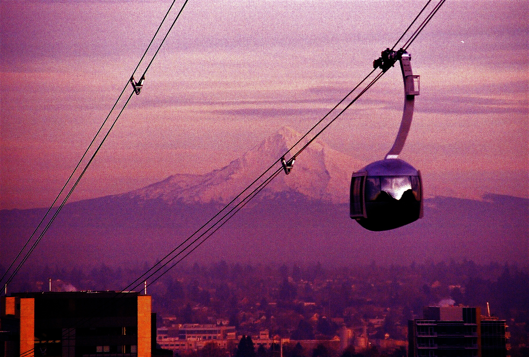 Portland Aerial Tram: Enjoy Stunning Views of the Rose City