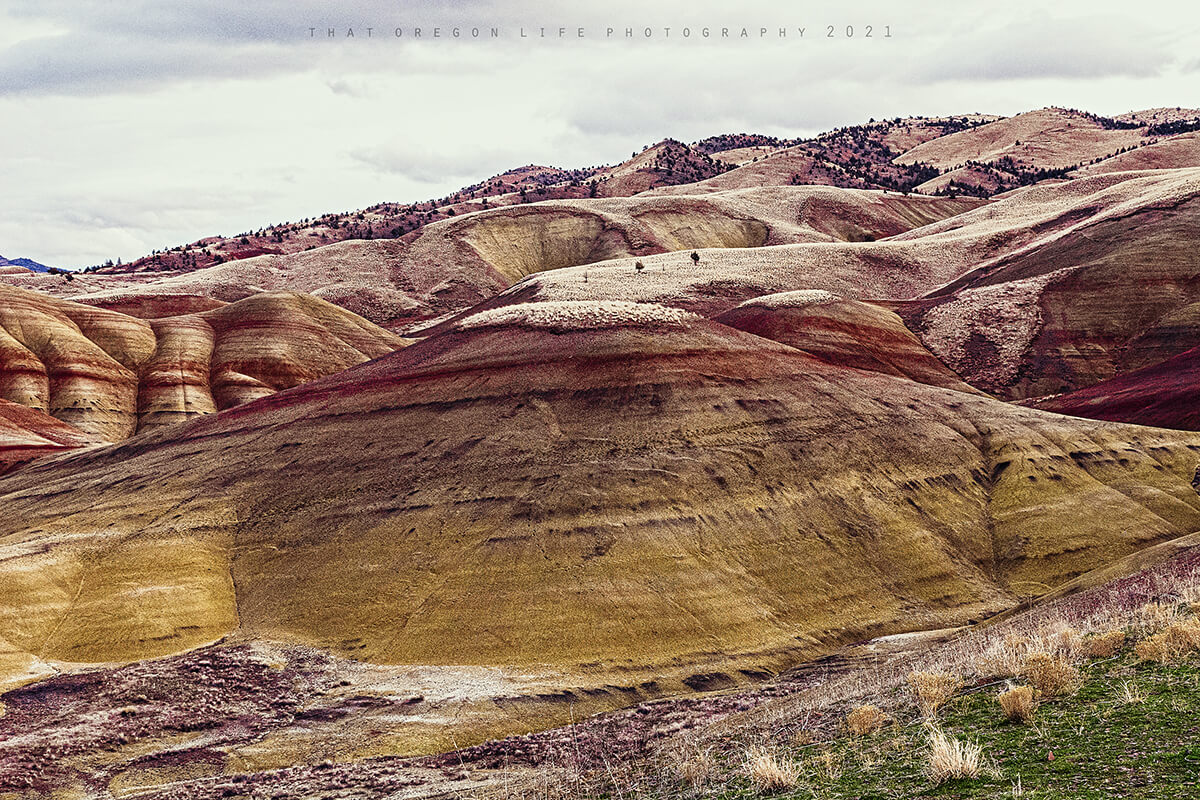 Unveiling the Wonders of the Painted Hills, Oregon