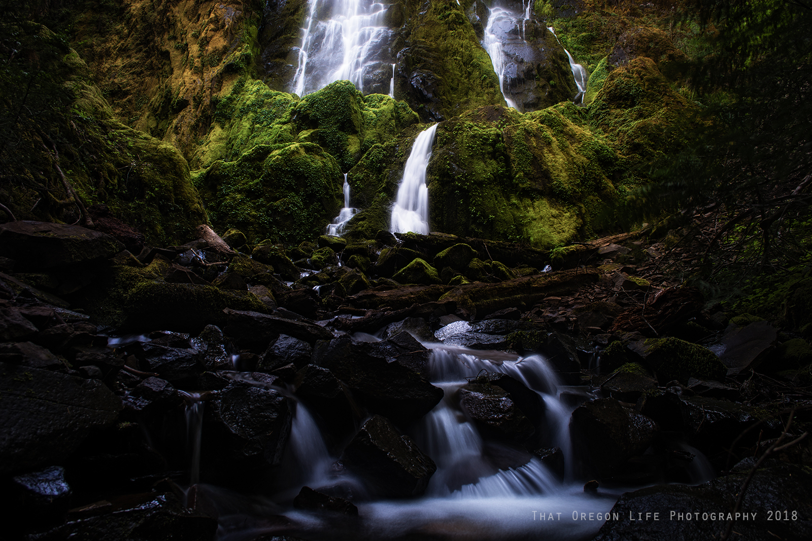 13+ Jaw-Dropping Waterfalls Near Eugene, Oregon