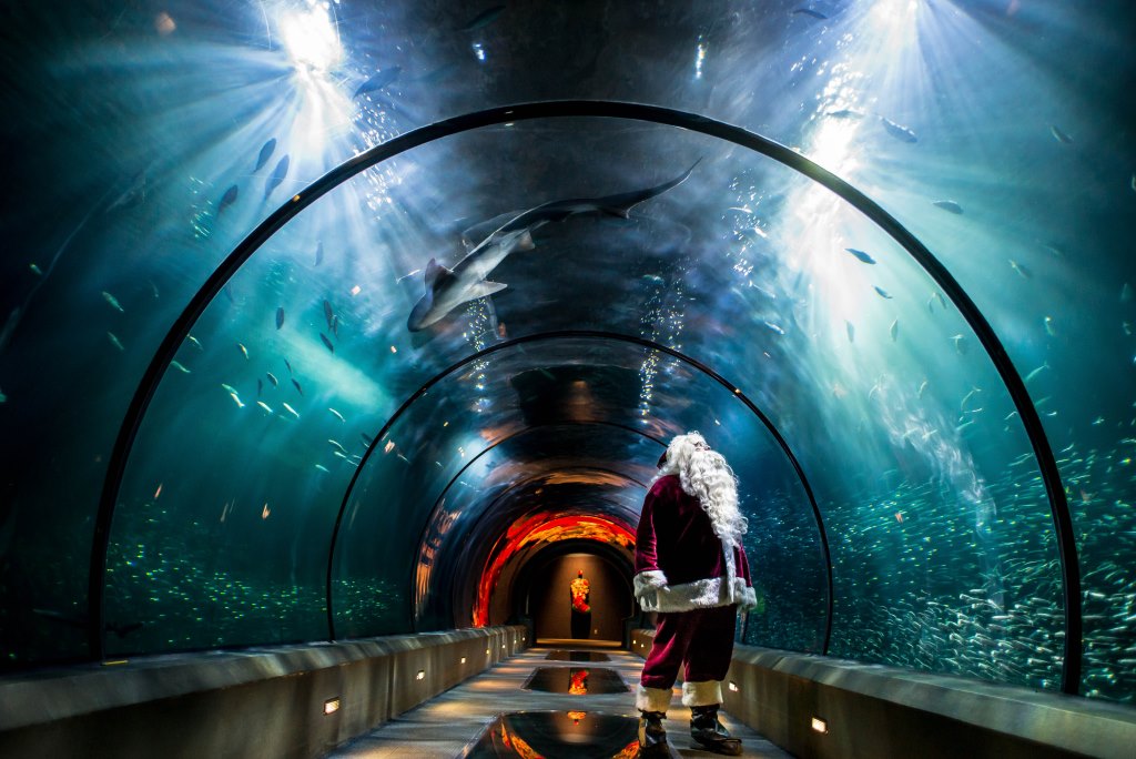 Don’t Miss This Epic Underwater Christmas Light Show On The Oregon Coast