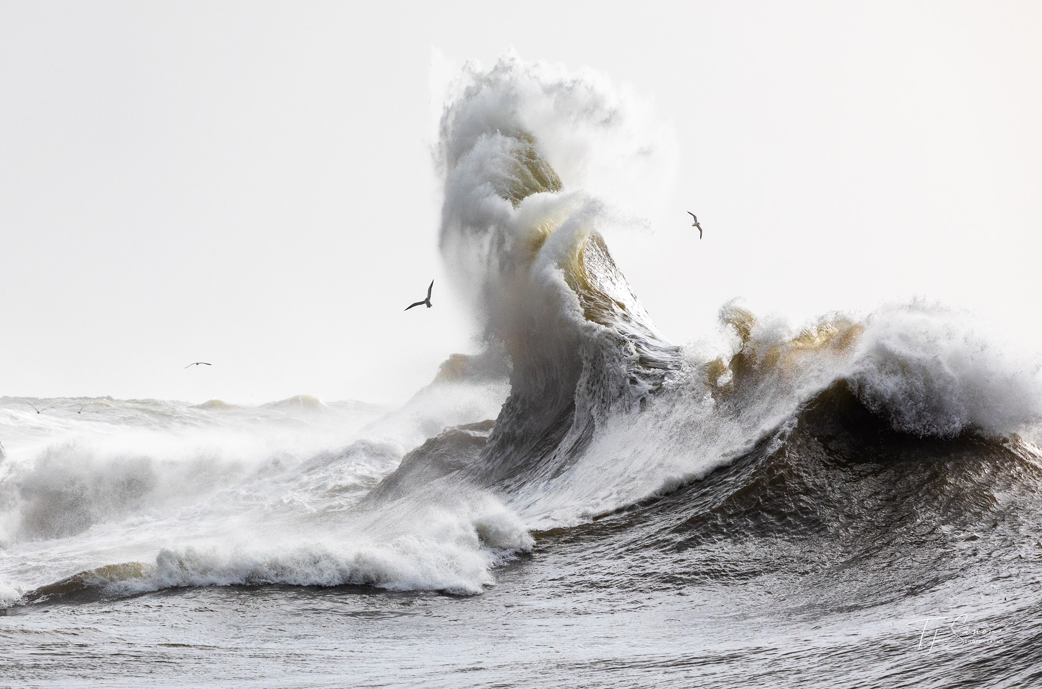 Awe-Inspiring Images of Oregon King Tide Waves