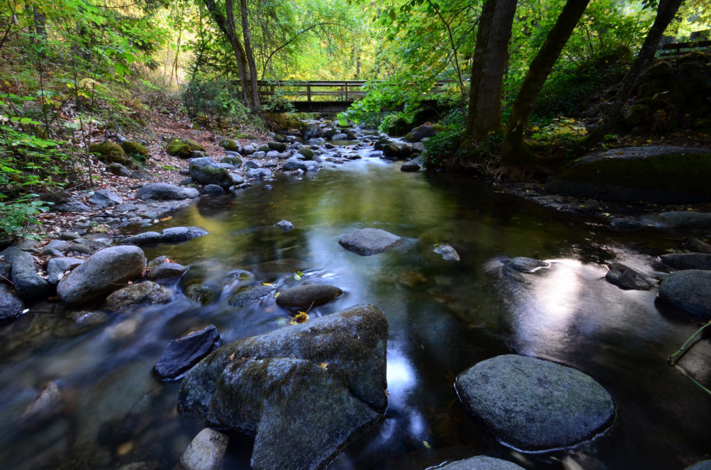 Ashland Oregon Lithia Park Ashland Creek Things To Do, best oregon towns, spring road trip, best towns to visit, 2024