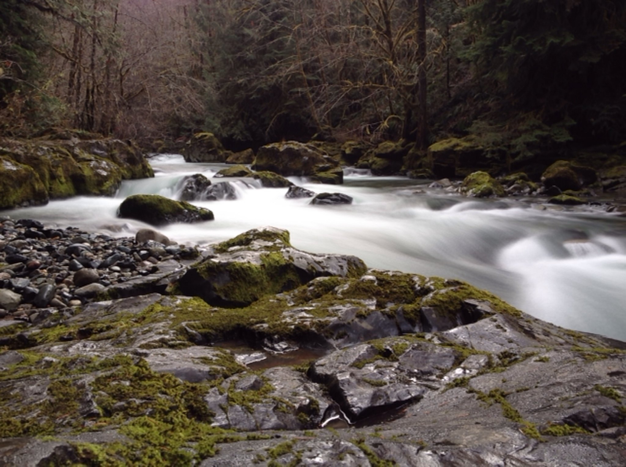 Explore Brice Creek Trail to Trestle Creek Falls