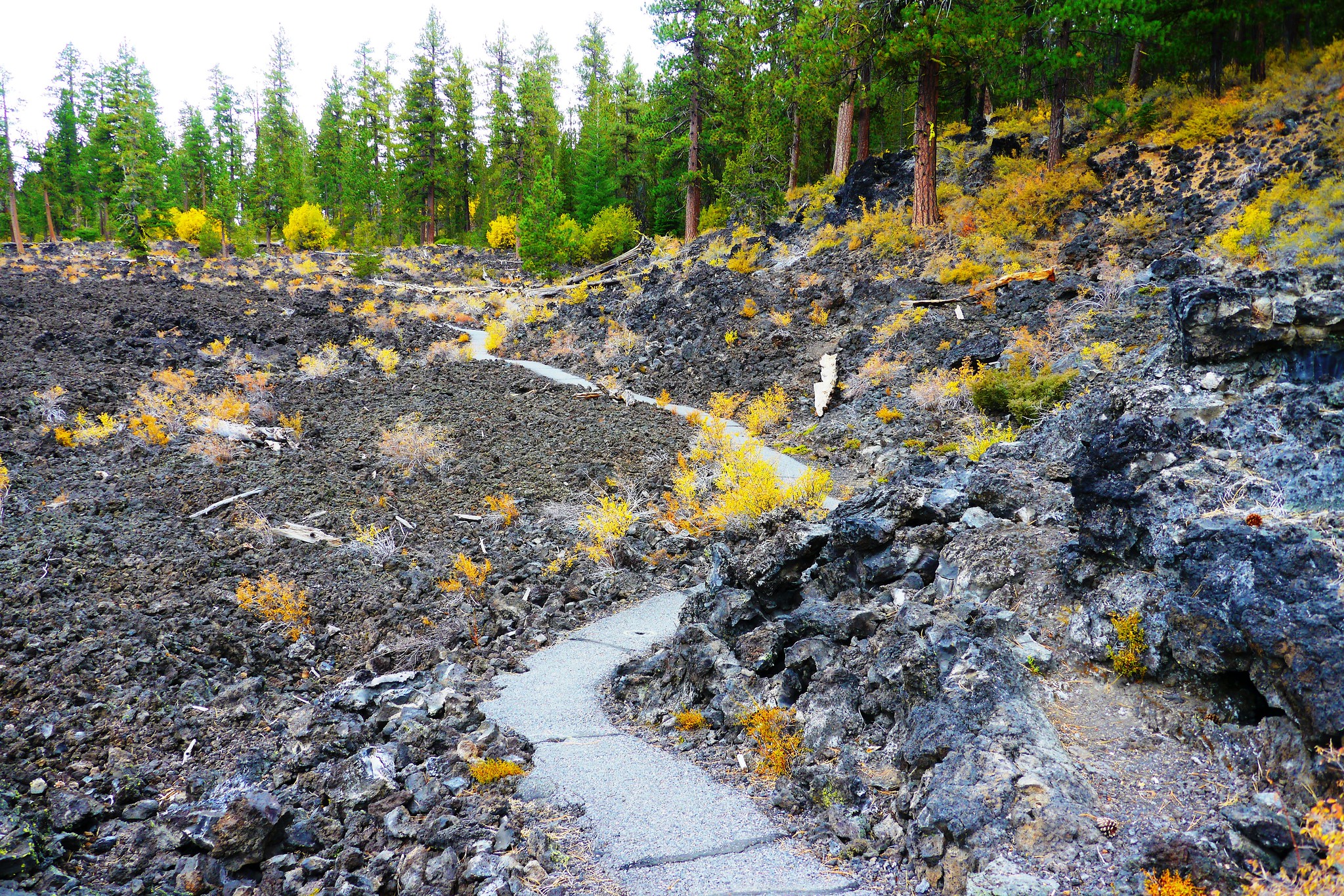 Walk Through This Central Oregon Forest Cast In Lava