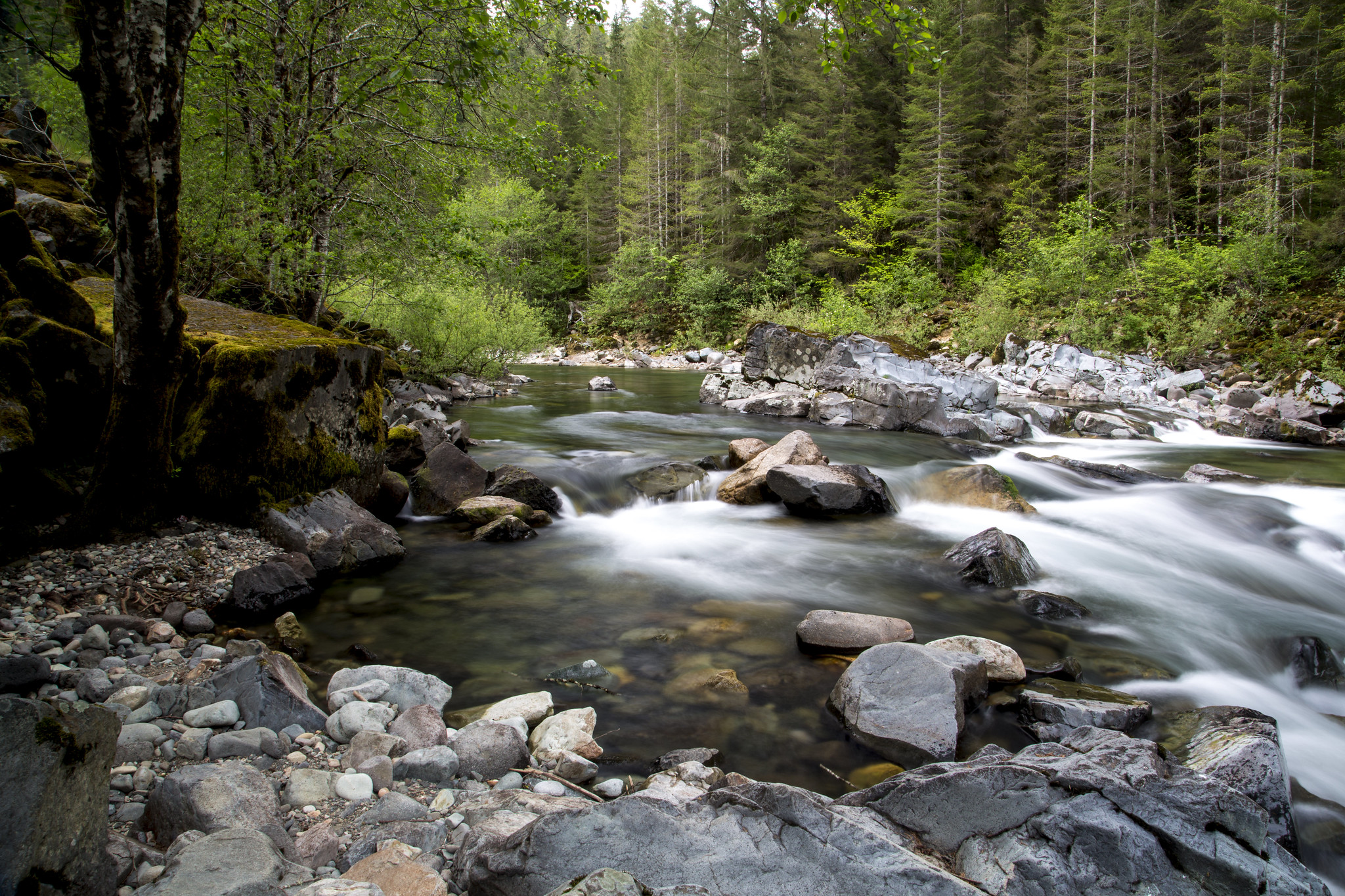 Quartzville Creek Wild And Scenic River Photo By The Bureau of Land Management via Flickr CC2