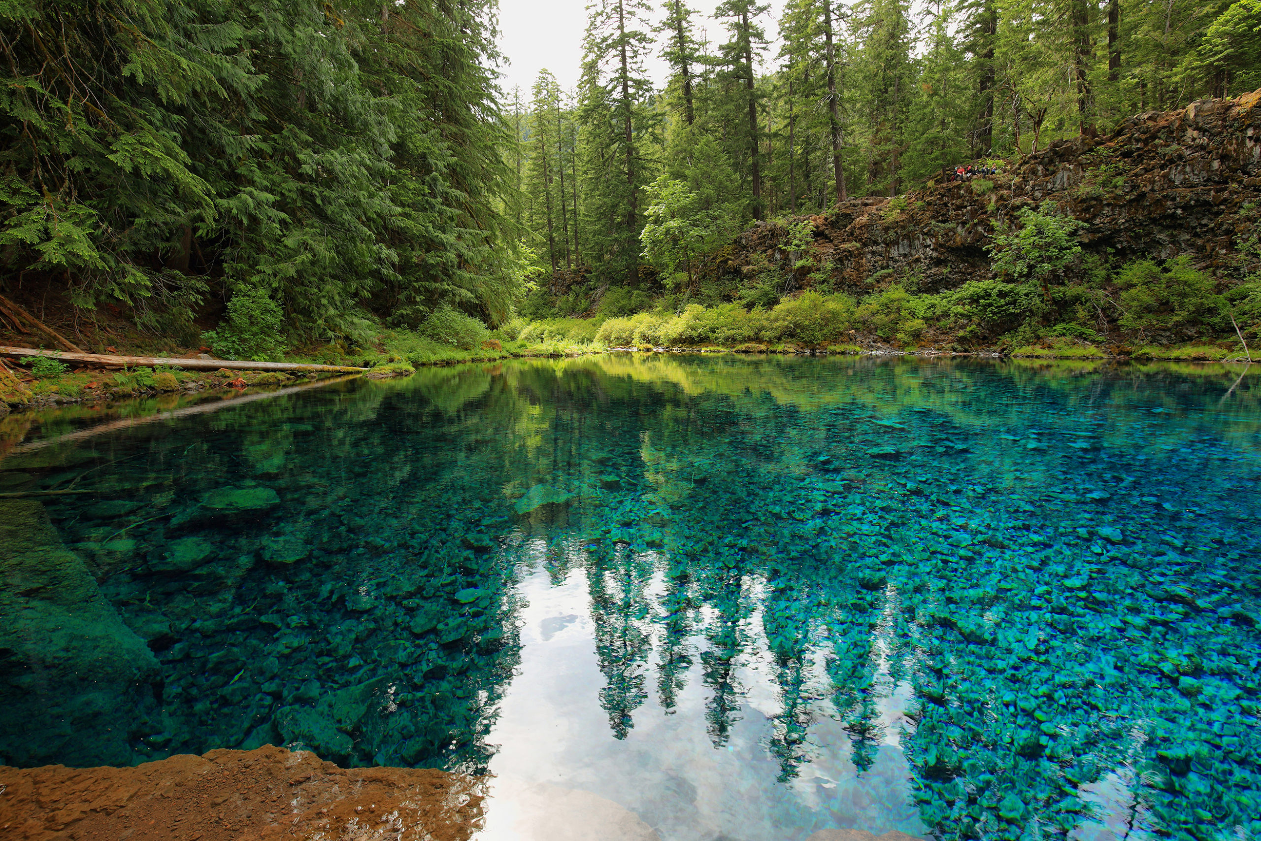 Lookout Fire Prompts Temporary Closure of Oregon’s Beloved Blue Pool