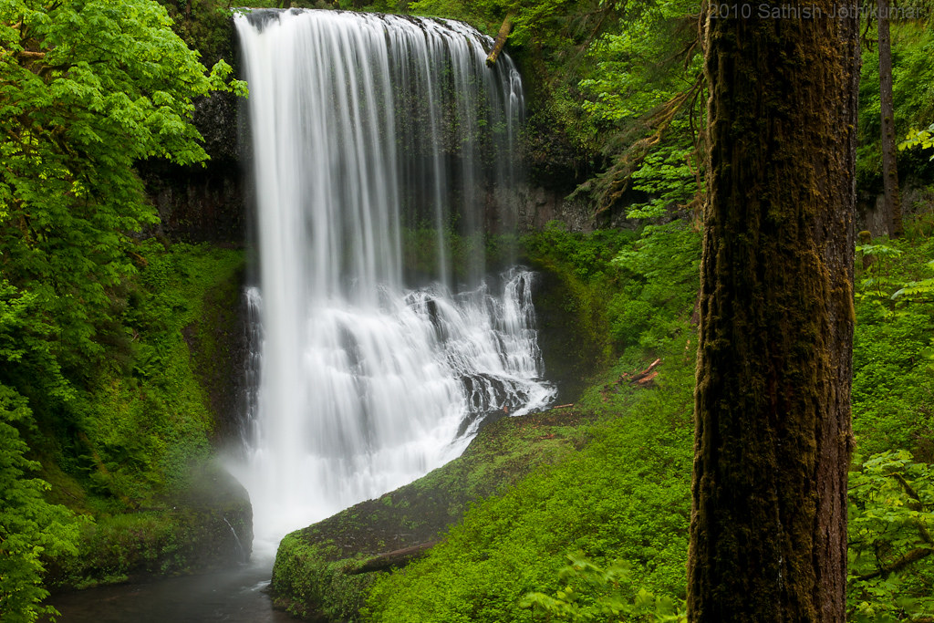 Ten Stunning Waterfalls At Silver Falls State Park in Oregon