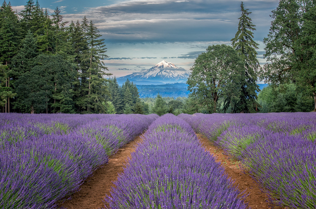 13 Irresistible Photos of Oregon’s Breathtaking Mountains