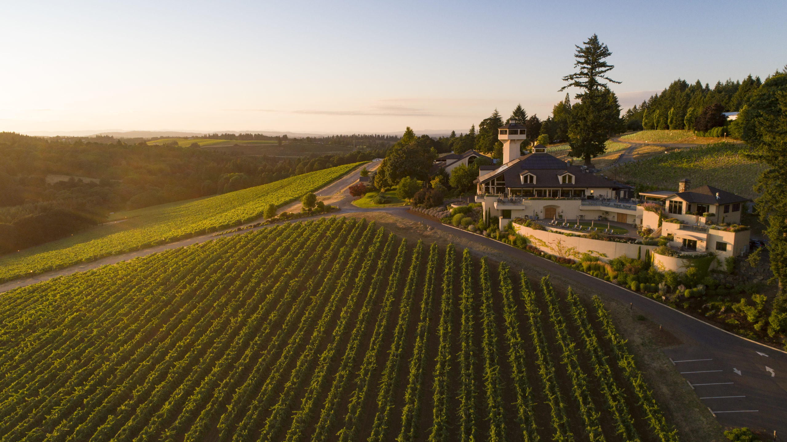 This Beautiful Oregon Winery Is Leading The Way To Sustainable Wine Production