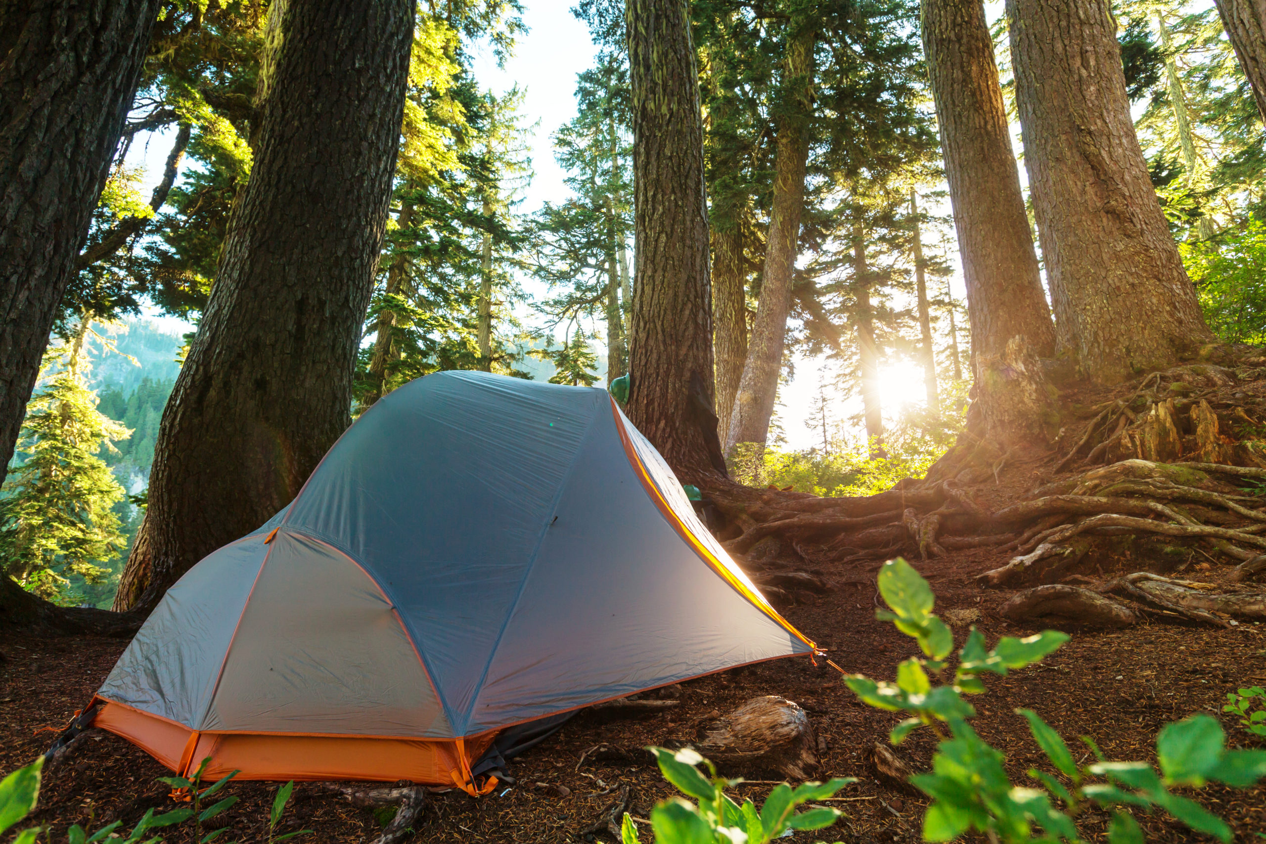 Oregon State Parks Impose New Fees For Out Of State Campers