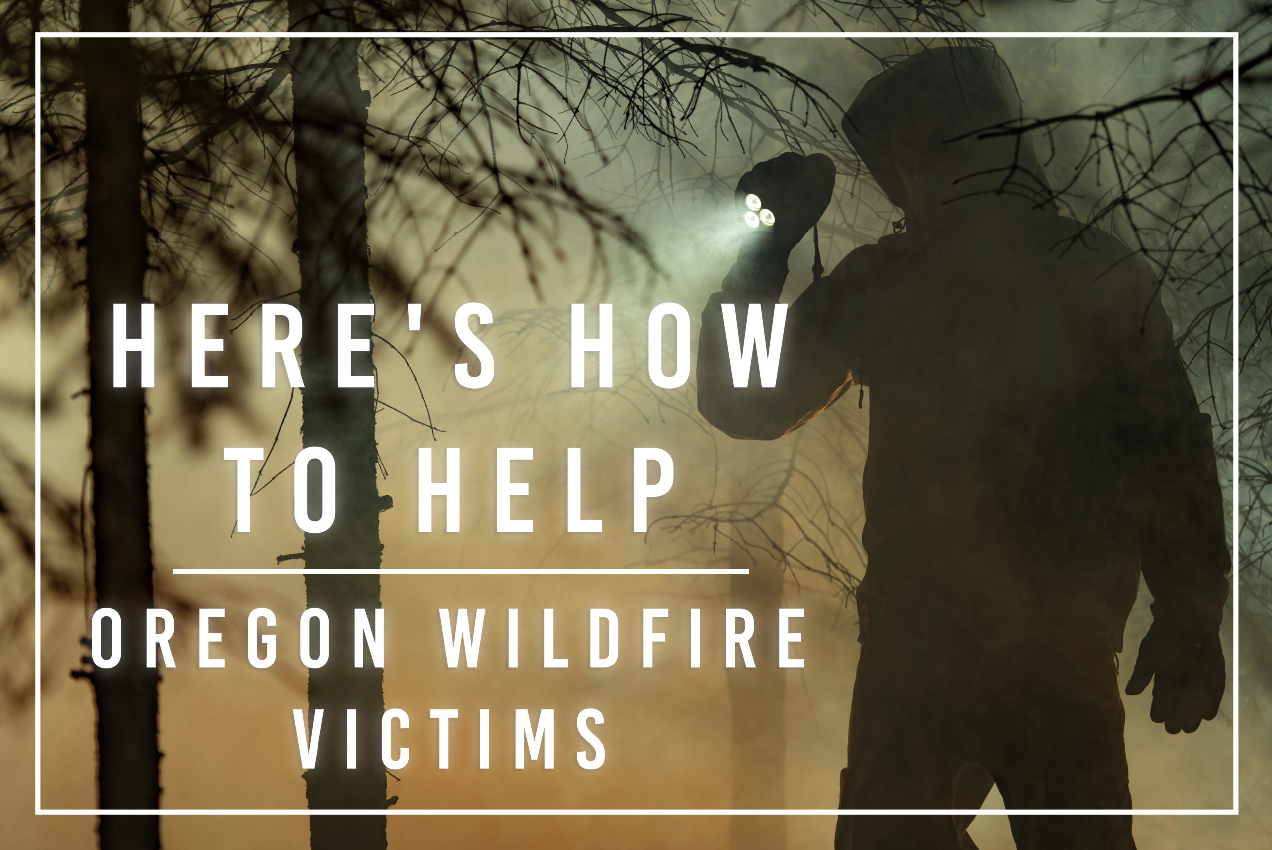 Want To Help Oregon’s Wildfire Victims – Here’s How