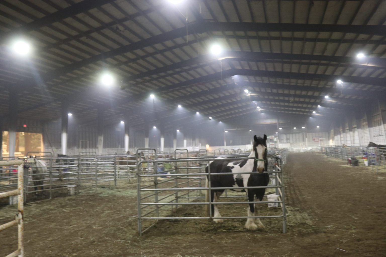 Thousands Of Animals Sheltered At Fairgrounds Across Oregon During Fires