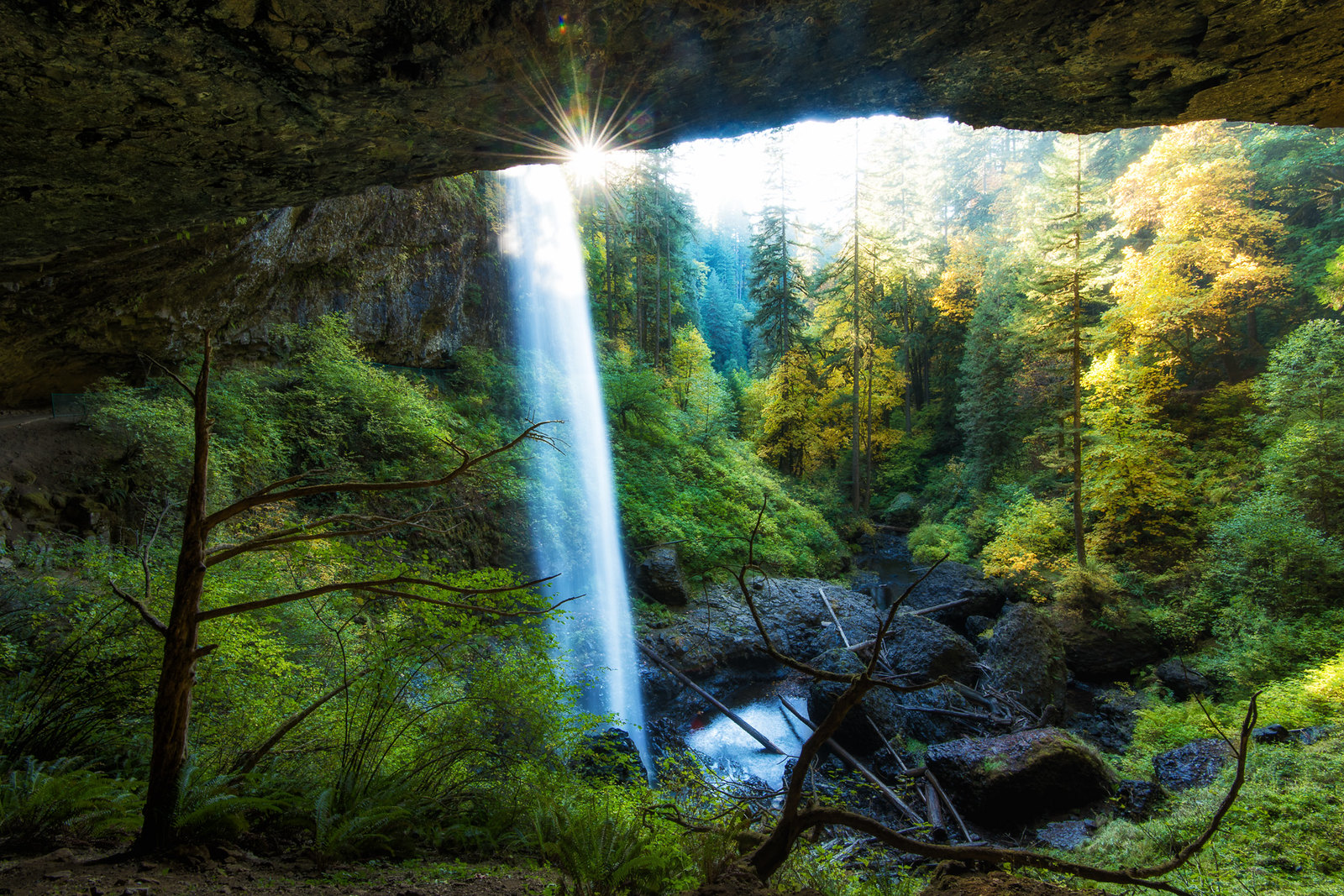 Four Breathtaking Fall Hikes to Take in Oregon