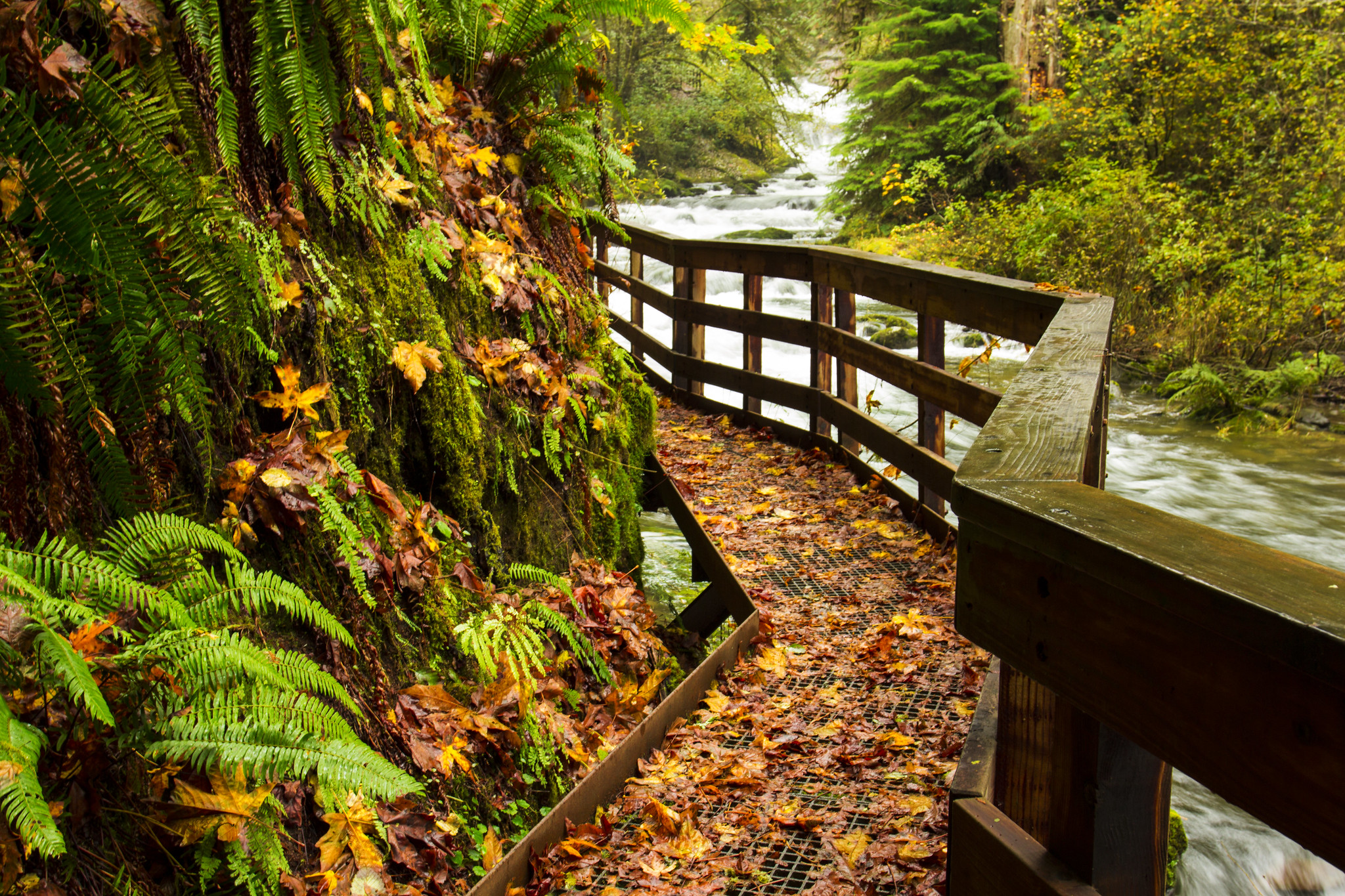 Oregon’s Scenic Trails Face Uncertain Future Due to Legal Grey Area and Liability Concerns