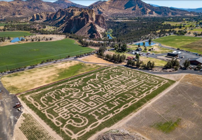 Get Lost In The Epic Corn Maze At Smith Rock Ranch Pumpkin Patch In Oregon