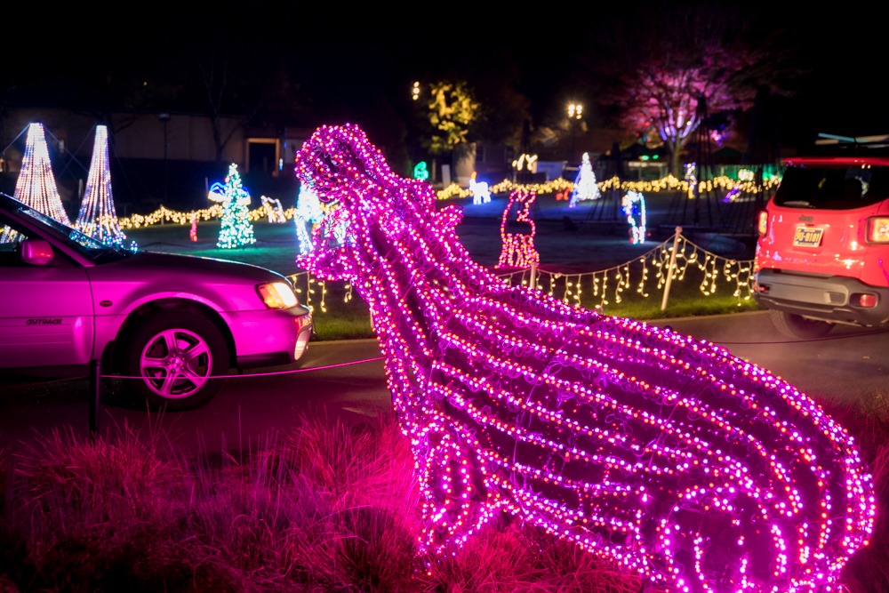 Oregon Zoo’s ‘Zoo Lights’ Returns With Drive-Thru Featuring 1.5 Million Lights