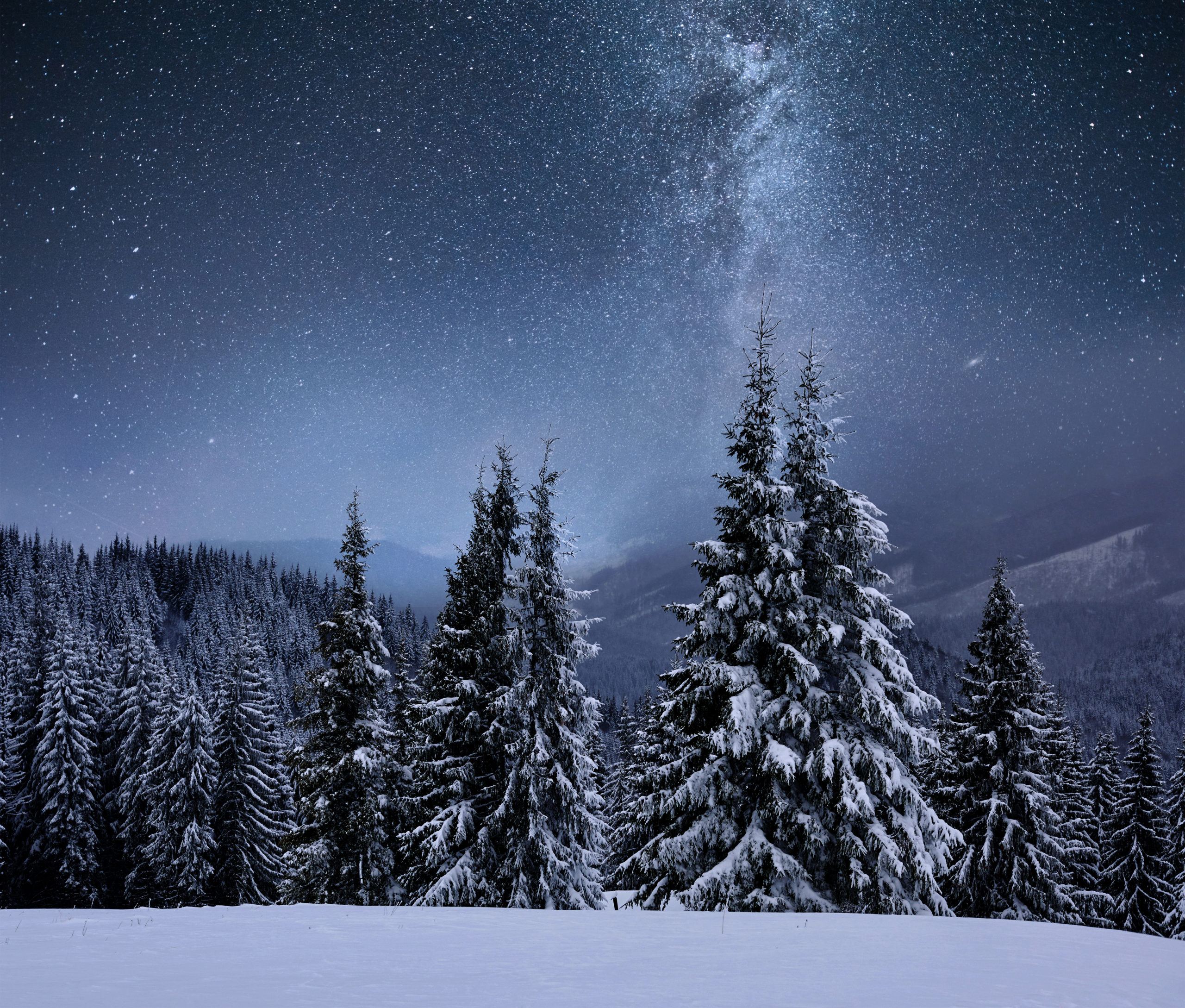 Experience Mount Hood Like Never Before On A Moonlight Snowshoe Hike