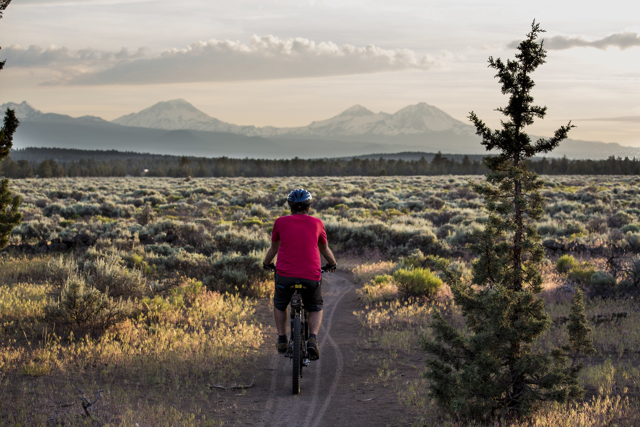 A person mountain biking by Cline Butte