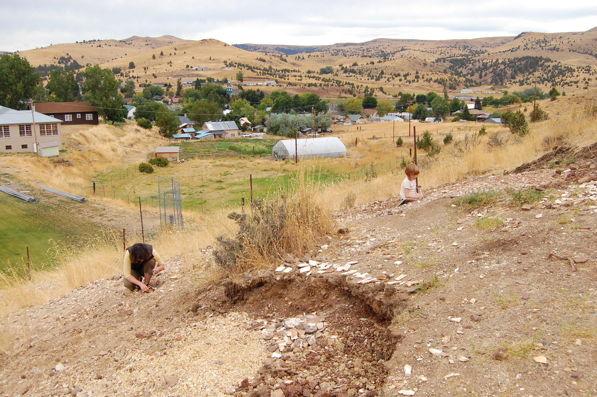 Dig Up Your Own 30 Million Year Old Fossils At This Oregon Park