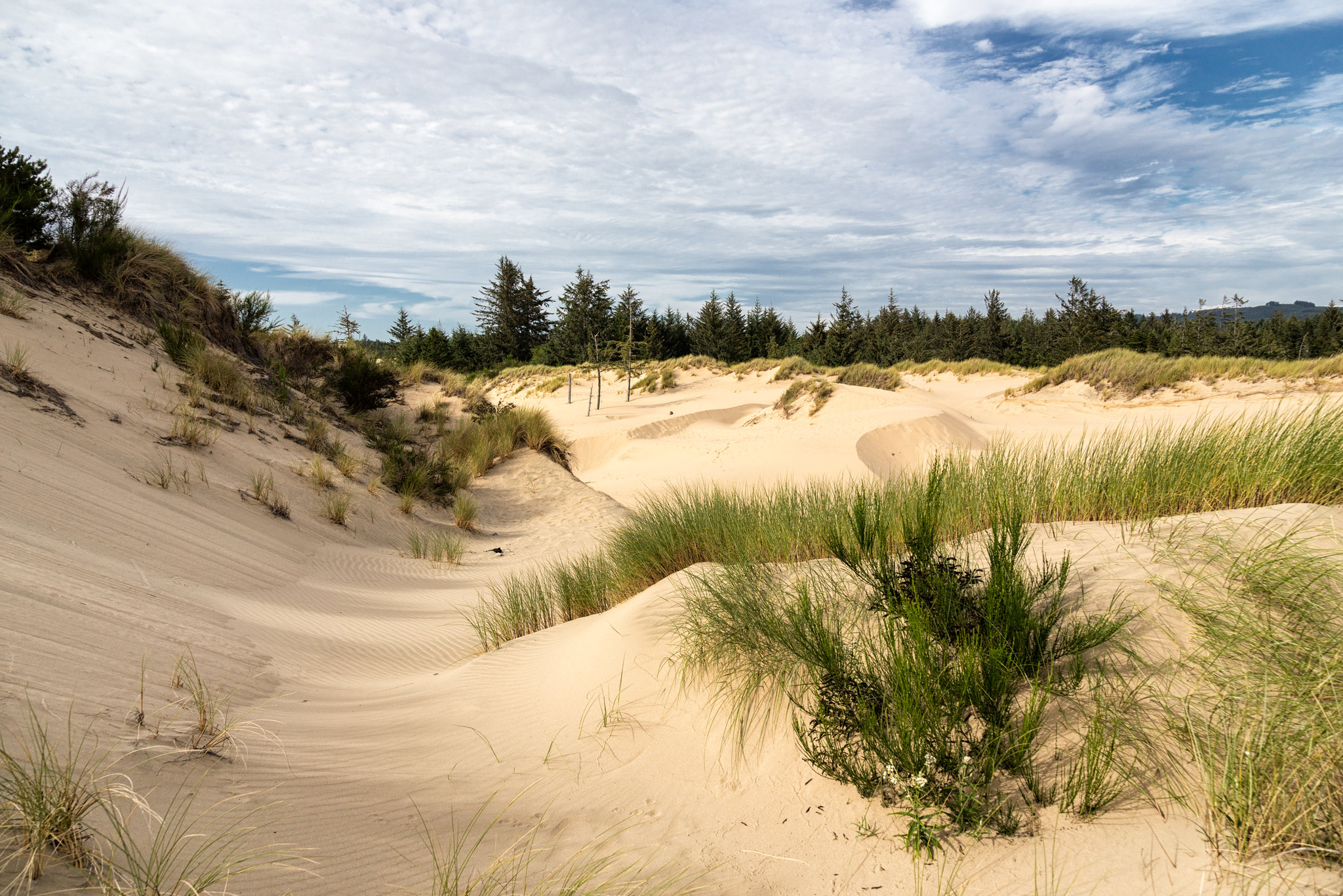The Singing Sands Of Oregon Is A Strange Phenomenon You Need To Hear To Believe