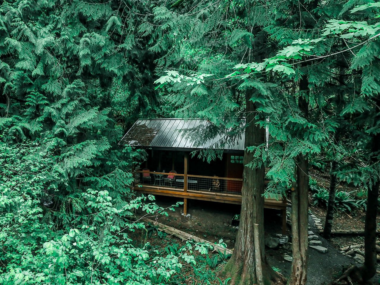 A gorgeous cabin surrounded by trees