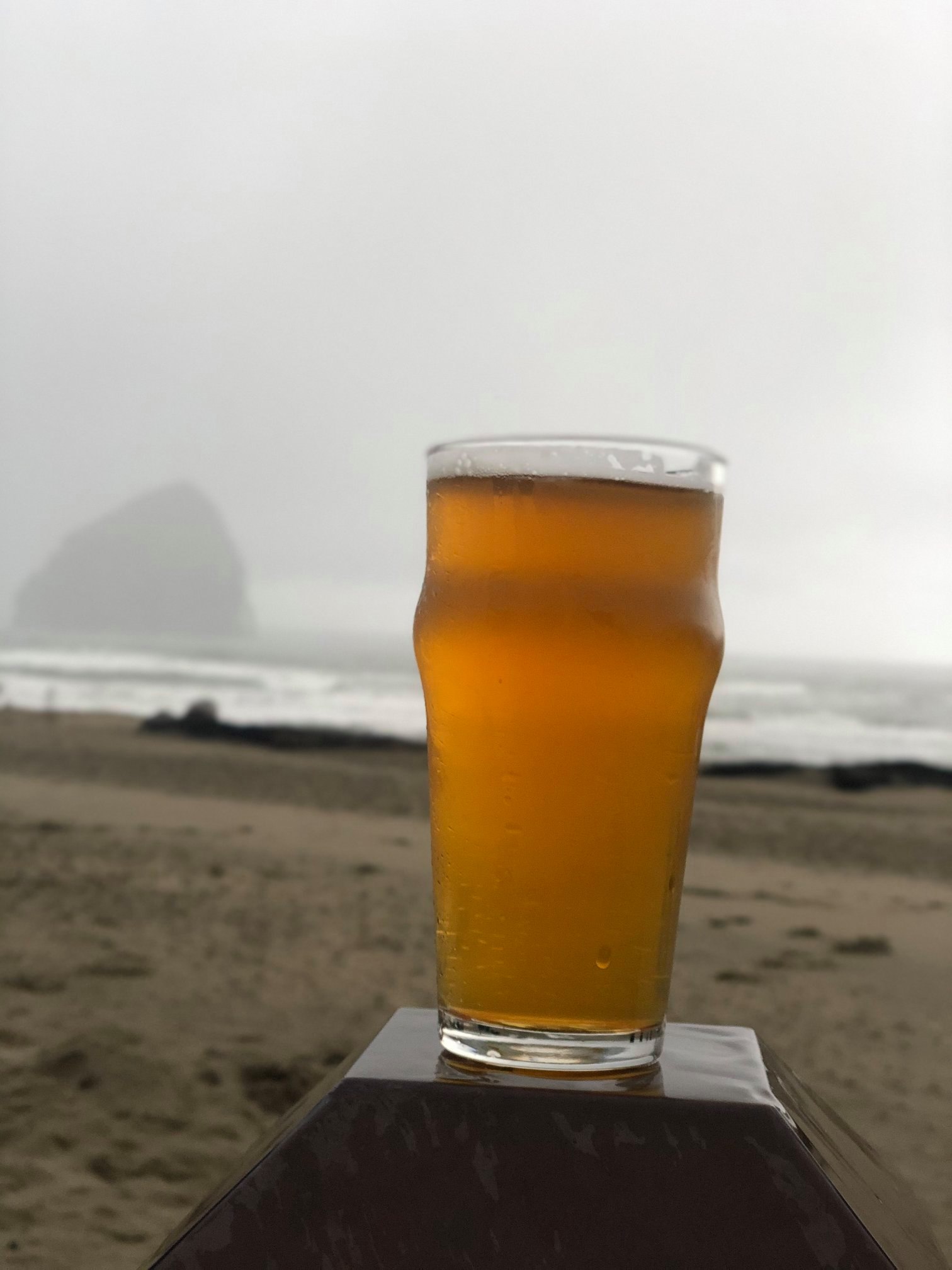 Beer in front of Haystack Rock on the Oregon coast.