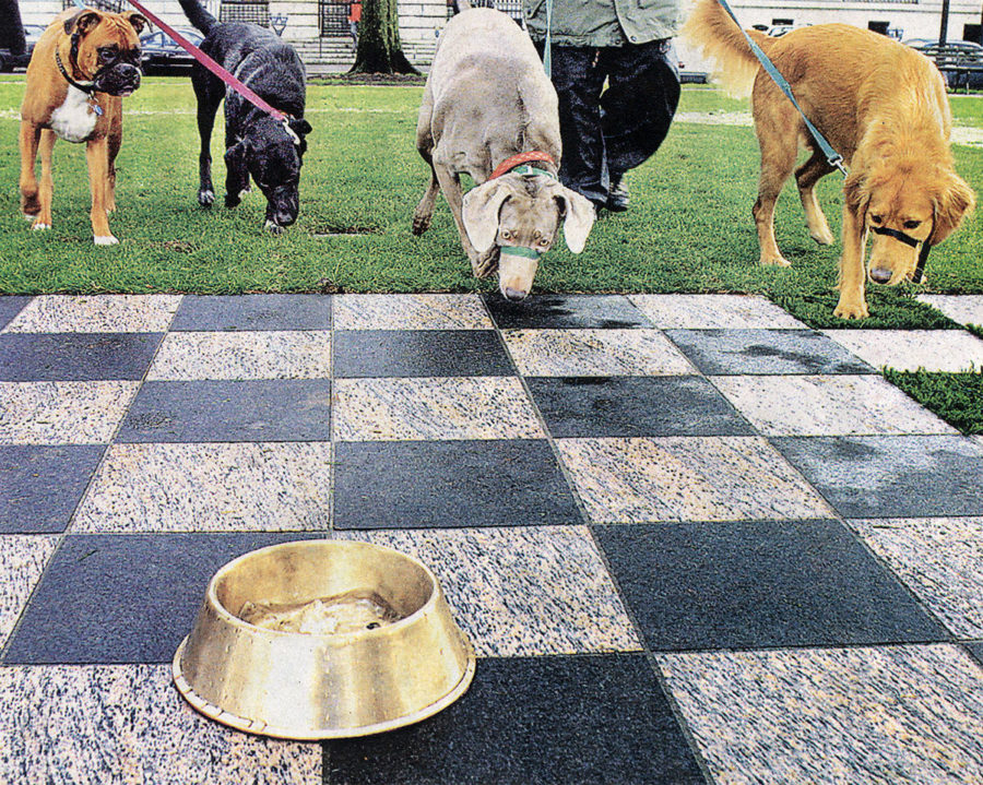 dogs sniff public art bronze dog bowl portland oregon