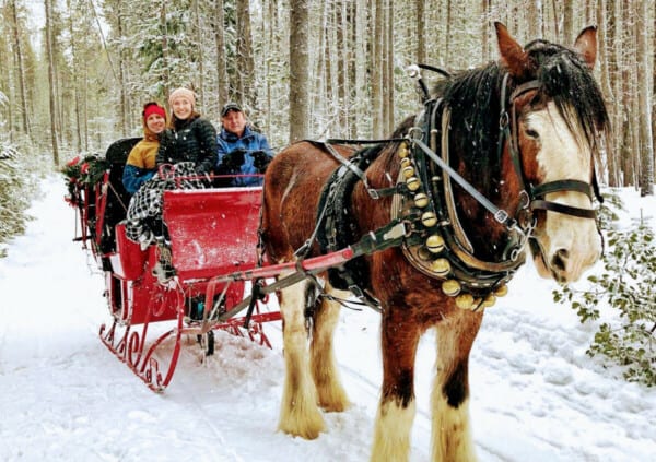 Romantic Sleigh Rides In Oregon Are Happening At Odell Lake