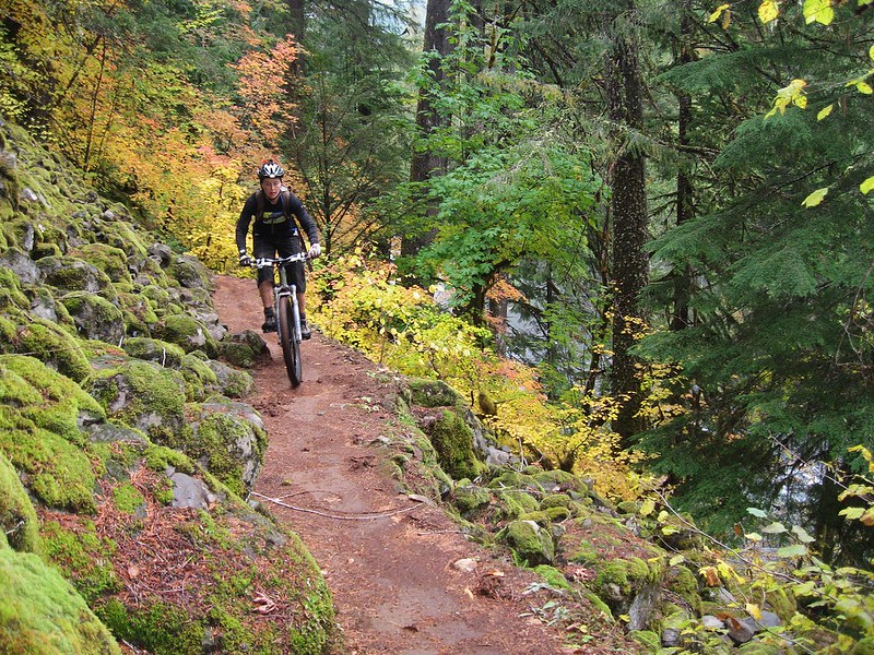A man mountain biking the McKenzie River Trail on a fall day.
