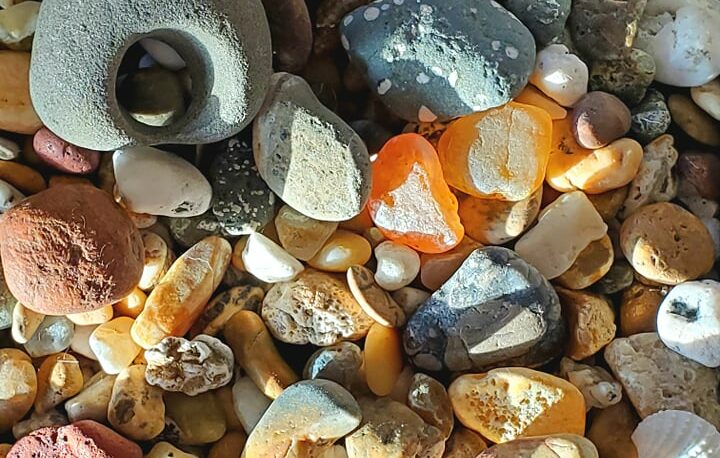 Agate Hunting 101: A Beach Guide to Finding Oregon’s Best Hidden Gemstones