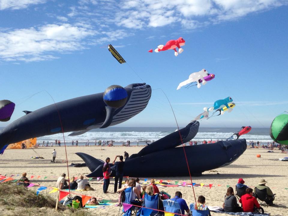 Get Ready For This Awesome Summer Kite Festival In Lincoln City Oregon