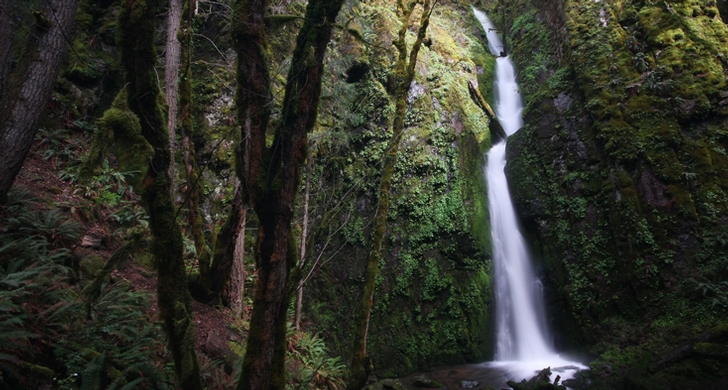 oregon state parks