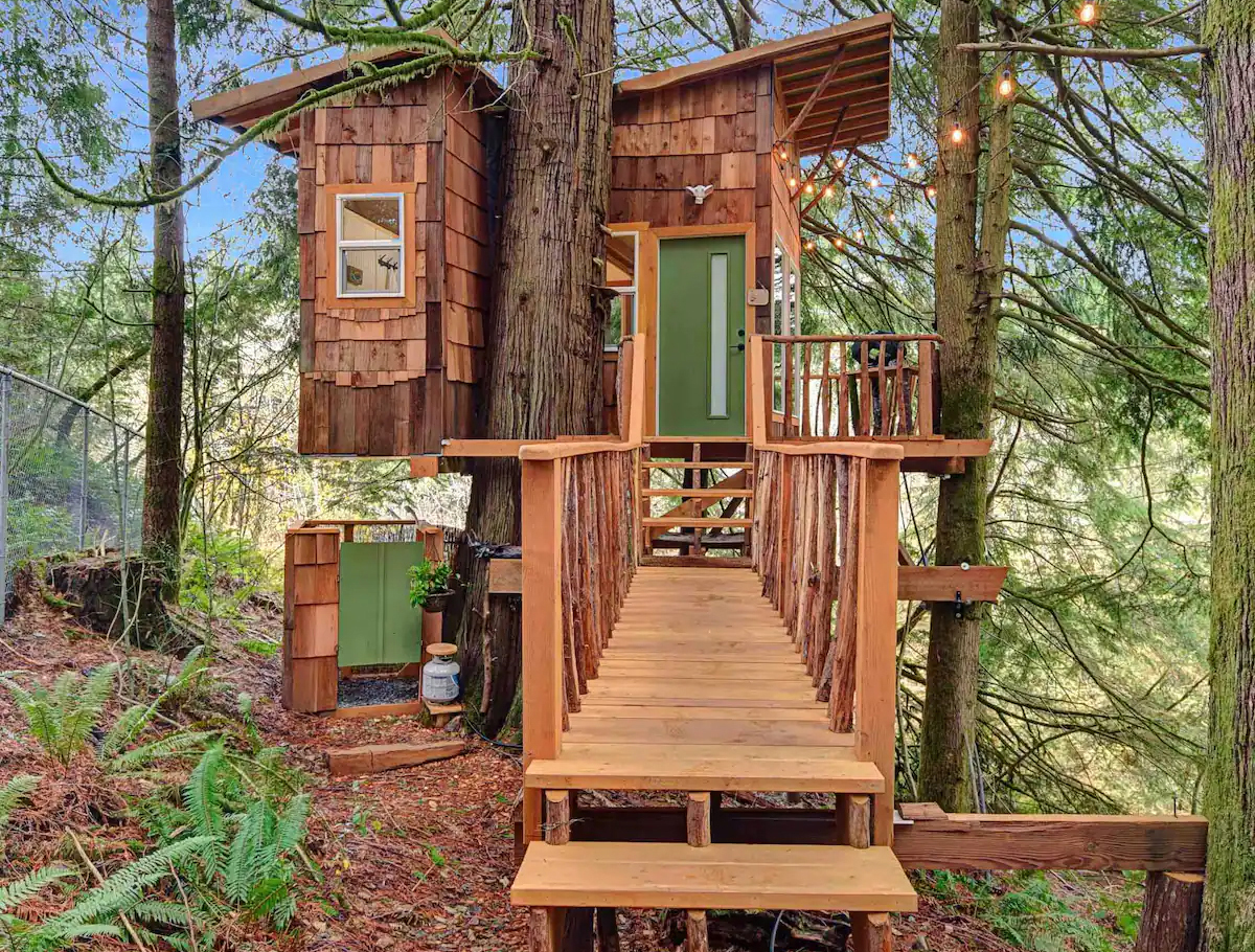 Stay For Five Nights At This Pacific Northwest Cabin In Old Growth Forest