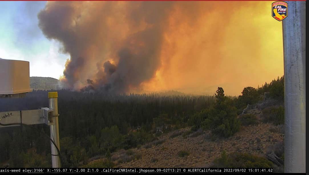 Update: Mill Fire In Weed California Now Over 3,921 Acres