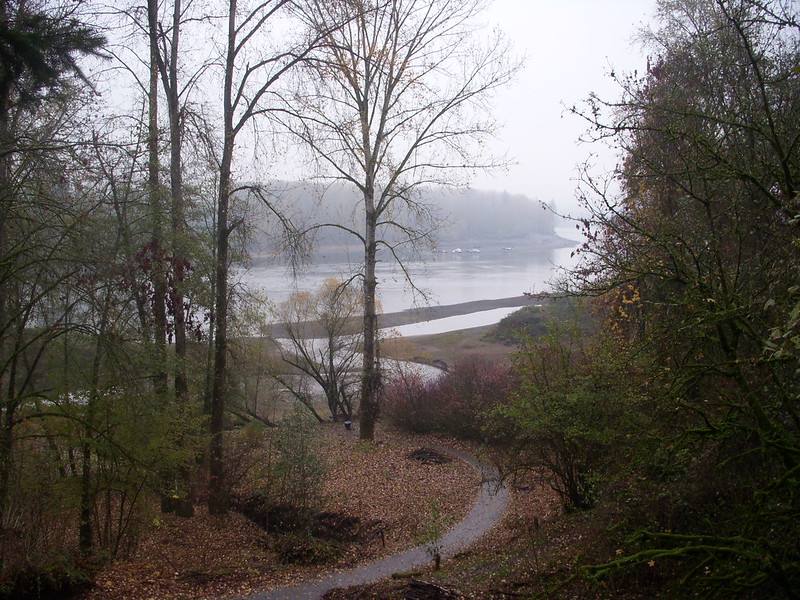 Mary S Young State Park West Linn, a trail and the river in fall with leaves on the ground