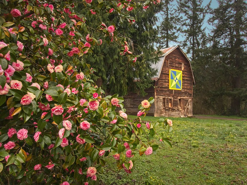 Best Oregon Cities Tualatin Oregon Barn at Browns Ferry Park