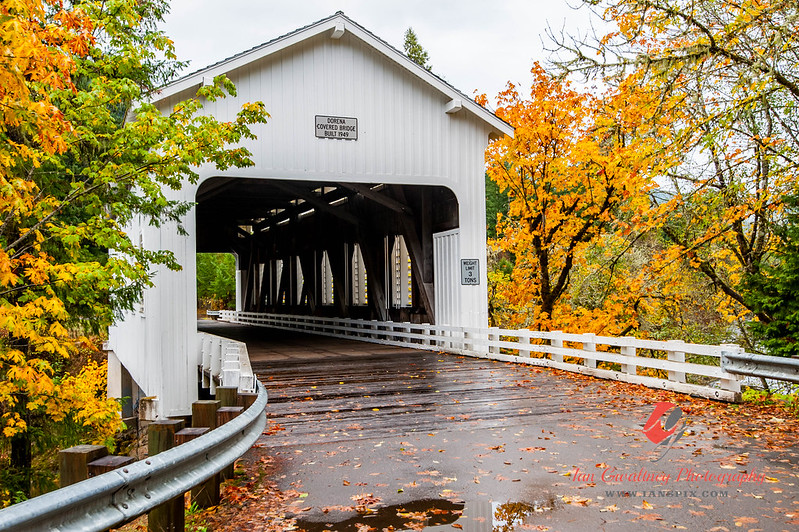 Six Of The Prettiest Covered Bridges To Visit In Oregon This Fall